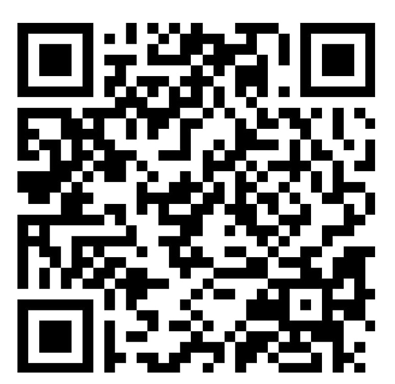 UPI QR Code (₹450)